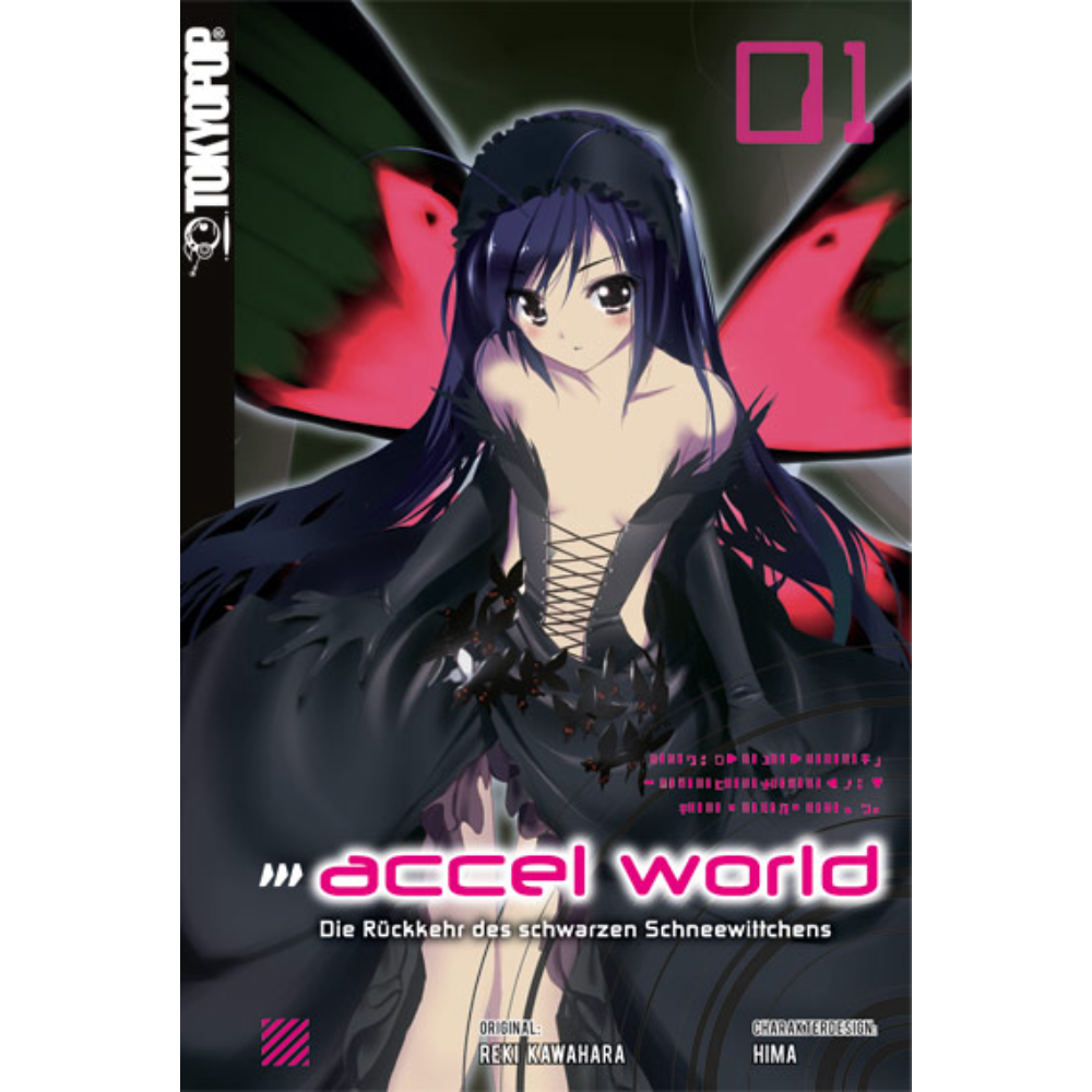 Accel World - Light Novel